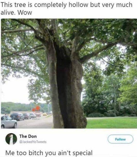 Dirty Mind, Come Here!