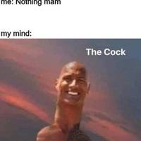 hot girls are here for you 42 gifs.html - 1 HD GIF | Premium Gallery 2021