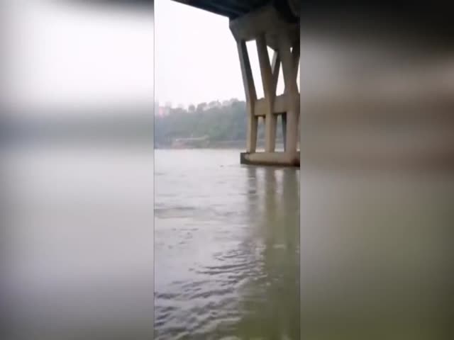 Lifeguard Training