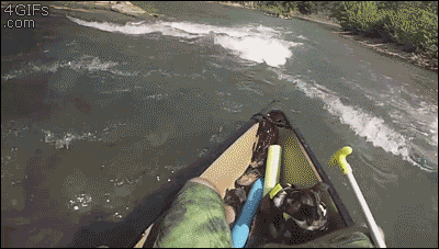 Not Even Close…