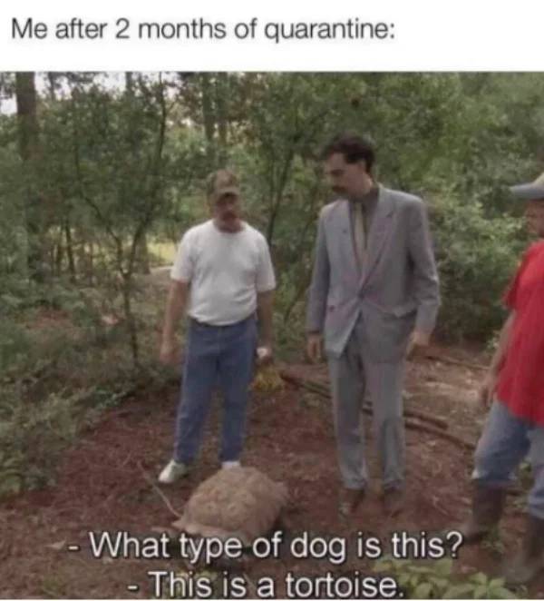 Very Explicit “Borat” Memes