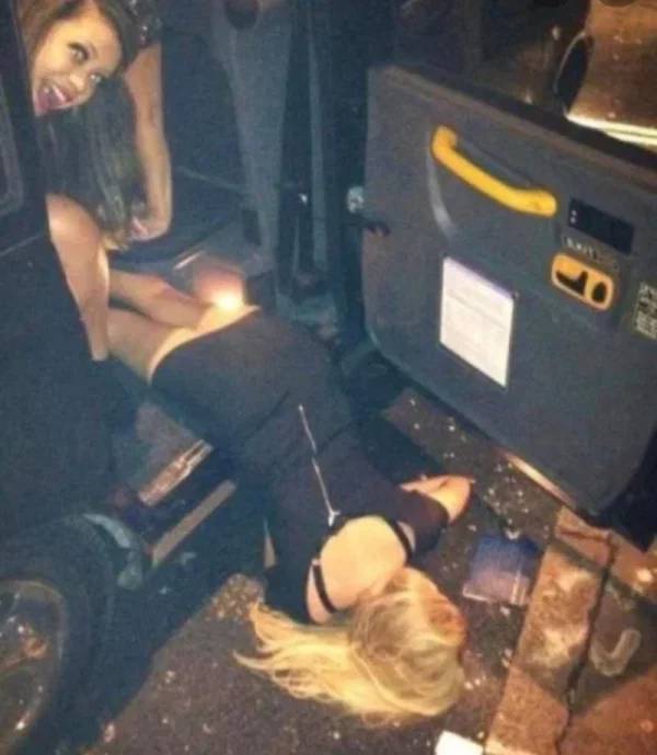 wasted is an understatement 50 pics 12 gifs 7.html - 50 HD GIF | Premium Gallery 2020