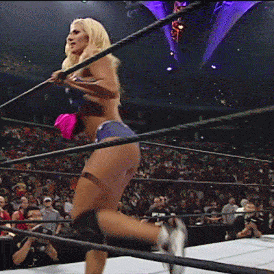 torrie wilson can stun you literally 19 gifs 5.html - 1 HD GIF | Premium Gallery 2020