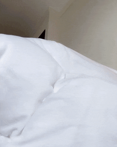 hot girls are here for you 48 gifs 3.html - 1 HD GIF | Premium Gallery 2021