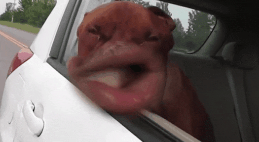 “Romantic” Gestures That Had Unintended Consequences