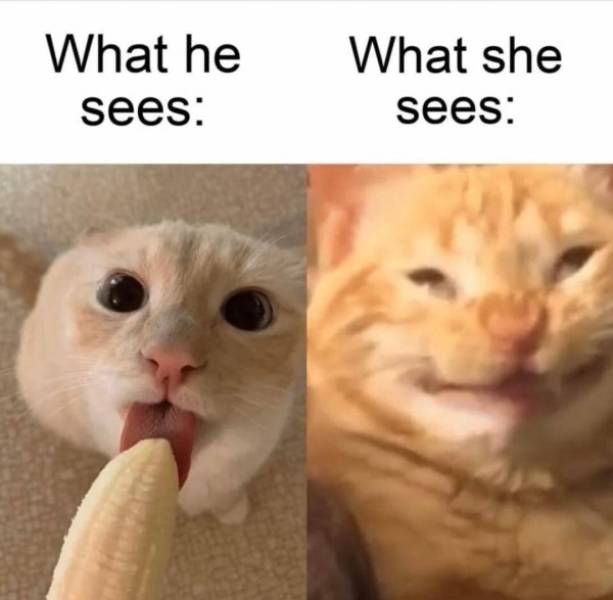 NSFW Memes For Your Naughty Side