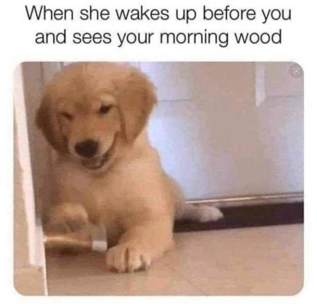 NSFW Memes For Your Naughty Side