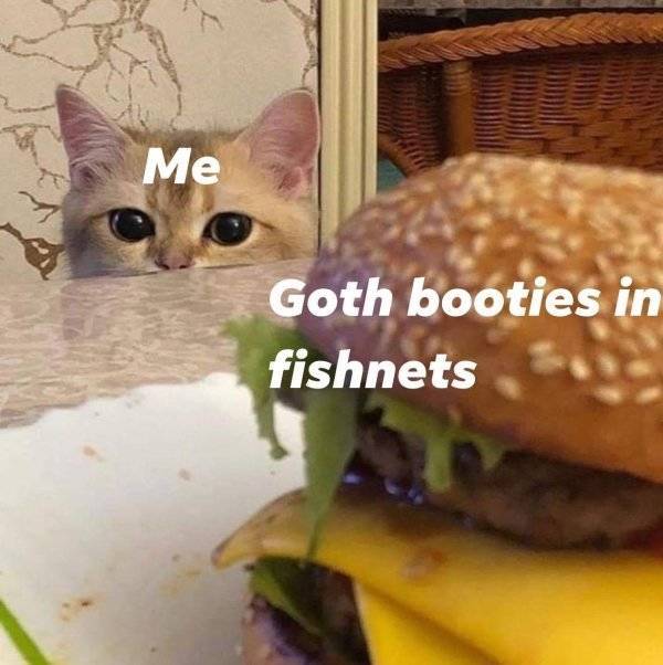 NSFW Memes For Your Naughty Side
