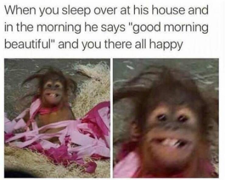 Send These Spicy Memes To Your Special One