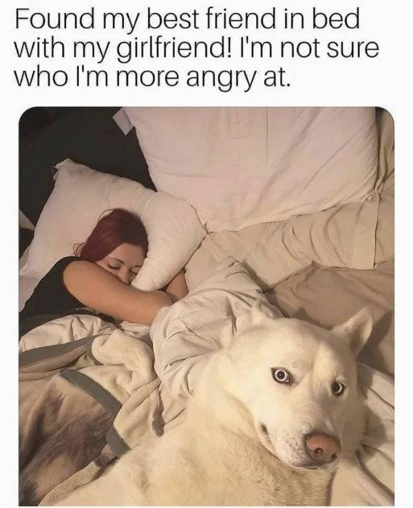 Send These Spicy Memes To Your Special One