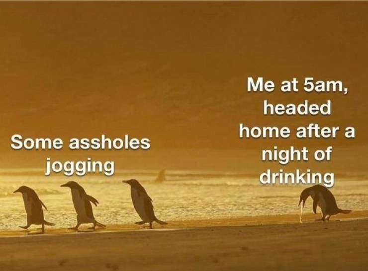 Drunks And Drunk Memes…