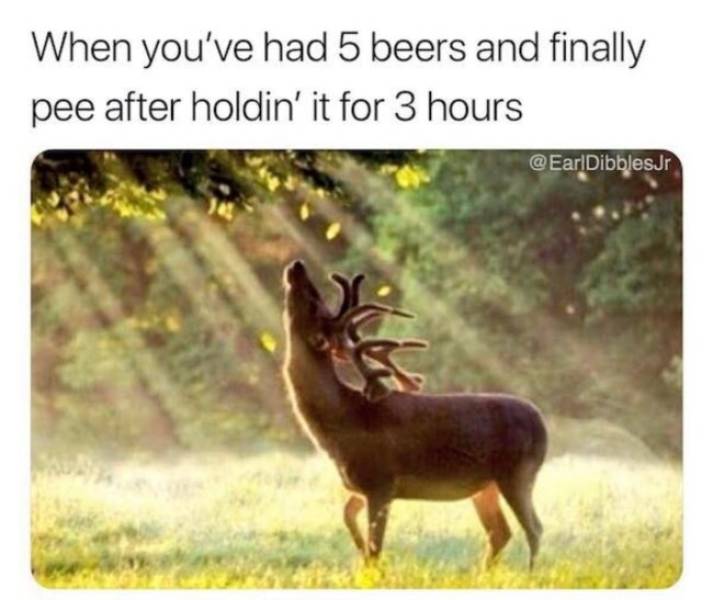 Drunks And Drunk Memes…