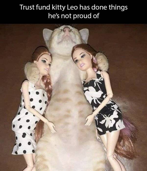 These Sex Memes Are Naughty!