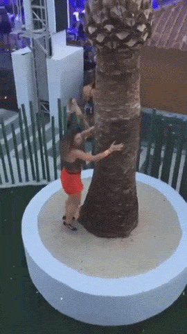 these fails are extra hot 41 gifs 1.html - 1 HD GIF | Premium Gallery 2021