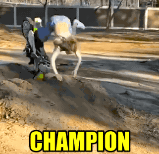 these fails are extra hot 41 gifs 1.html - 1 HD GIF | Premium Gallery 2021