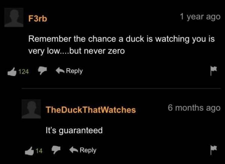 “Pornhub” Comment Section Is A Wild Ride…