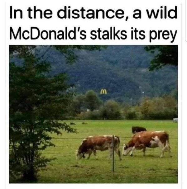 Start Your Day With Some Dirty Memes!