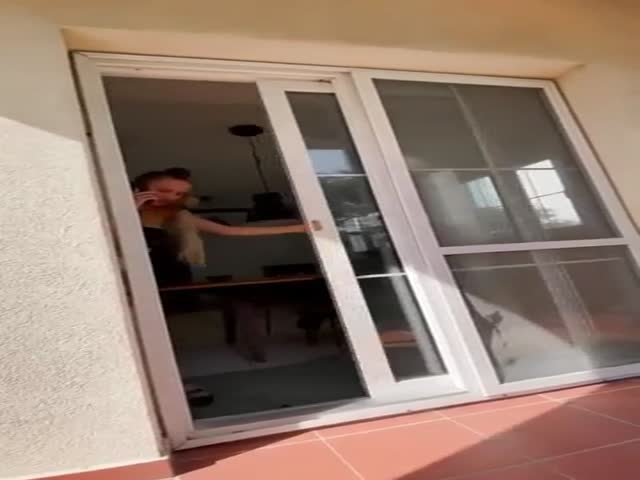Morning Stretching Routine