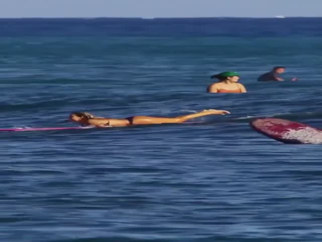 Elegant Surfing