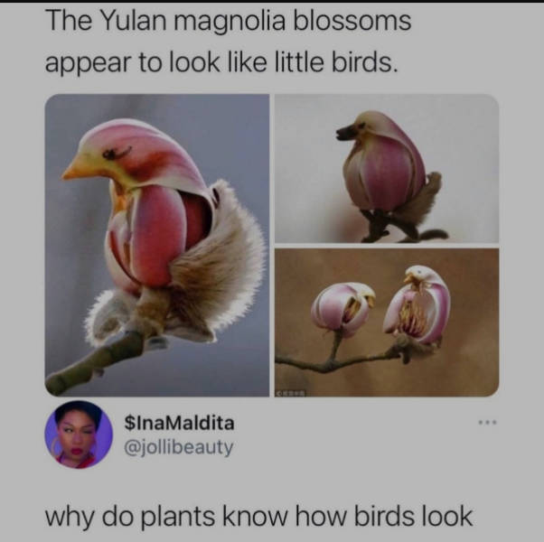 Now Wait A Second!