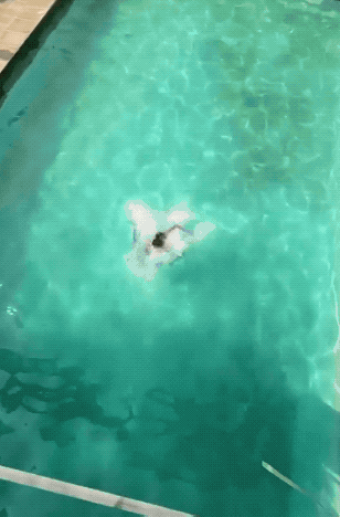 these fit girls are extra hot 28 gifs 1.html - 1 HD GIF | Premium Gallery 2021