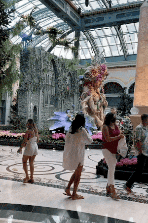sooo drunk 70 pics 18 gifs 5.html - 70 HD GIF | Premium Gallery 2021
