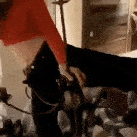 fails better hot fails 41 gifs 6.html - 1 HD GIF | Premium Gallery 2021