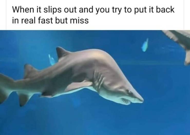 These Memes Are 100% NSFW!