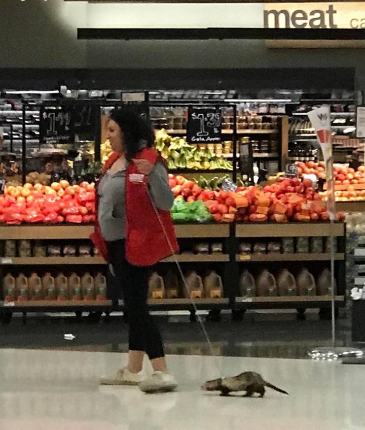 “Walmart” Customers… Enough Said…