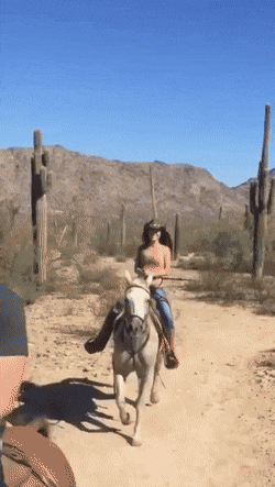 dirty minds only 42 gifs 1.html - 1 HD GIF | Premium Gallery 2021