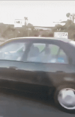 dirty minds only 42 gifs 4.html - 1 HD GIF | Premium Gallery 2021