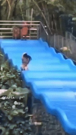 dirty minds only 42 gifs 4.html - 1 HD GIF | Premium Gallery 2021