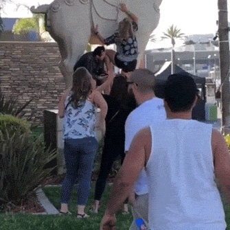 hotness doesnt save you from failures 28 gifs 5.html - 1 HD GIF | Premium Gallery 2021