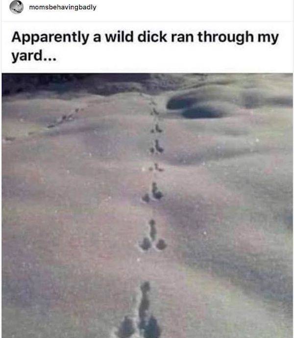 Some Dirty NSFW Memes For You!