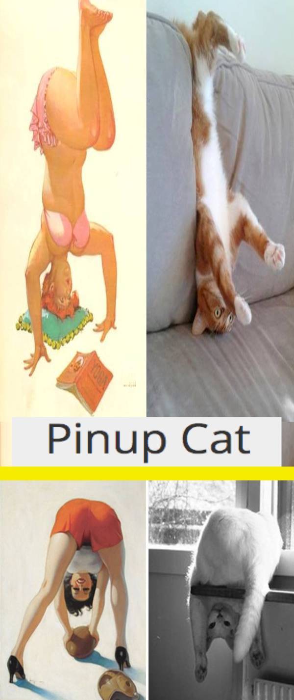 some dirty nsfw memes for you 69 pics 3.html - 69 HD Photos | Premium Gallery 2021