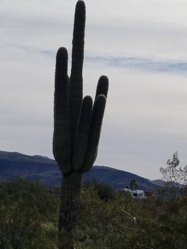 oh youre so dirty 73 pics 17.html - 73 HD Photos | Premium Gallery 2021