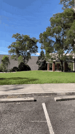 hot girls are here for you 49 gifs 7.html - 1 HD GIF | Premium Gallery 2022