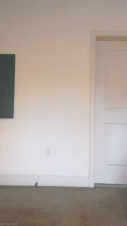 hot girls are here for you 42 gifs 6.html - 1 HD GIF | Premium Gallery 2022