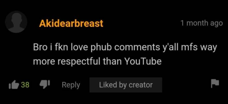 “Pornhub” Comment Section Is… Very Special