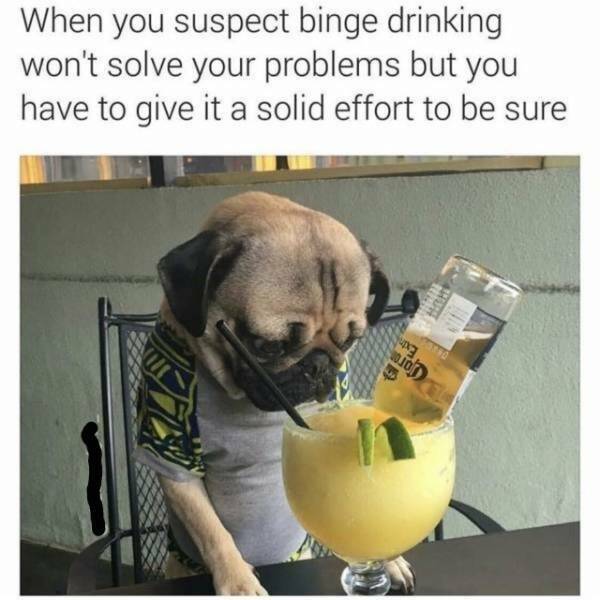 Drinking Never Stops…