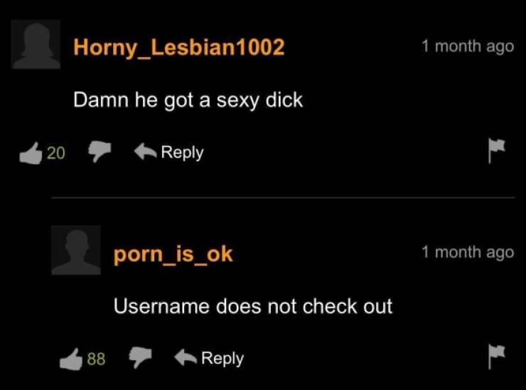 “Pornhub” Comment Section Is A Wild Ride…