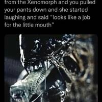 porn stars share their best sex tips 13 pics.html - 13 HD Photos | Premium Gallery 2022