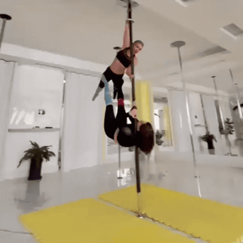 pole queens not found 16 gifs 7.html - 1 HD GIF | Premium Gallery 2022