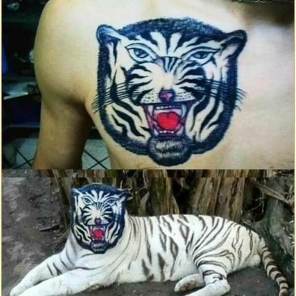 These Tattoos Are SO Bad…
