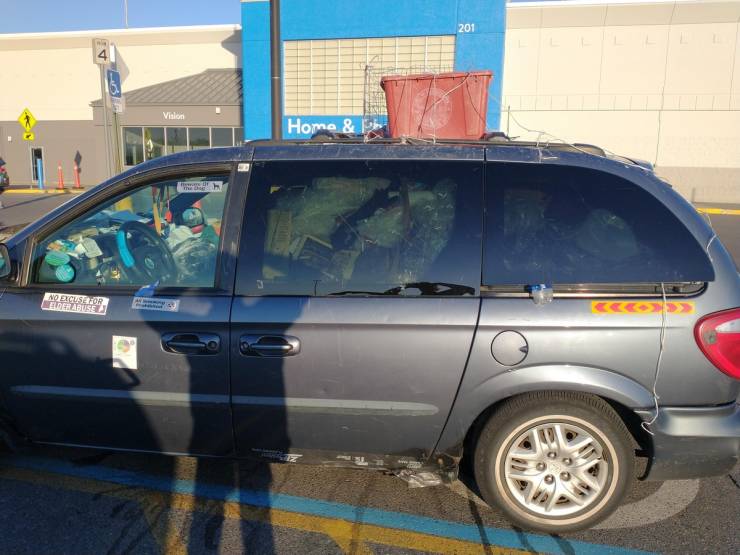 walmart is a wild place 44 pics 15.html - 44 HD Photos | Premium Gallery 2022