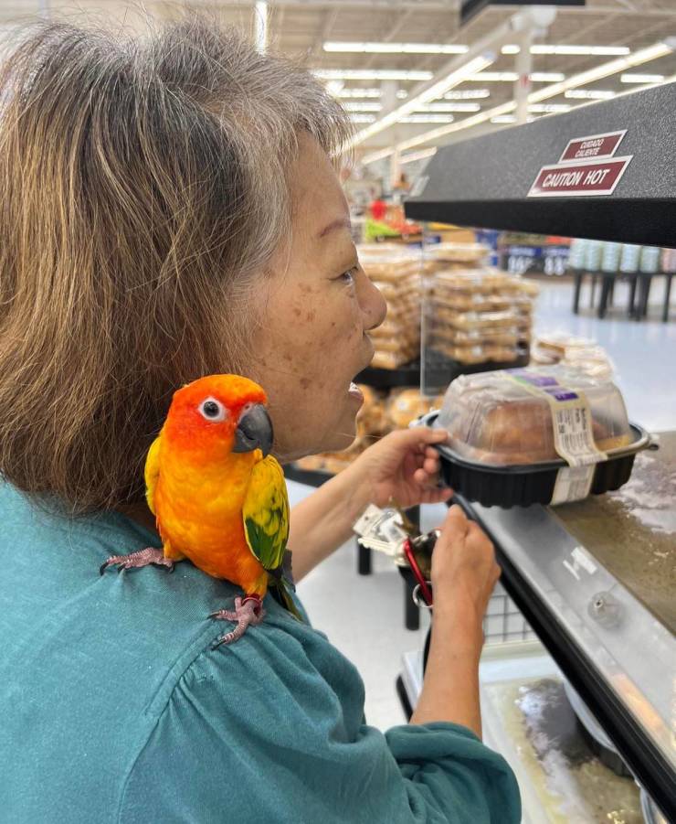 walmart is a wild place 44 pics 15.html - 44 HD Photos | Premium Gallery 2022