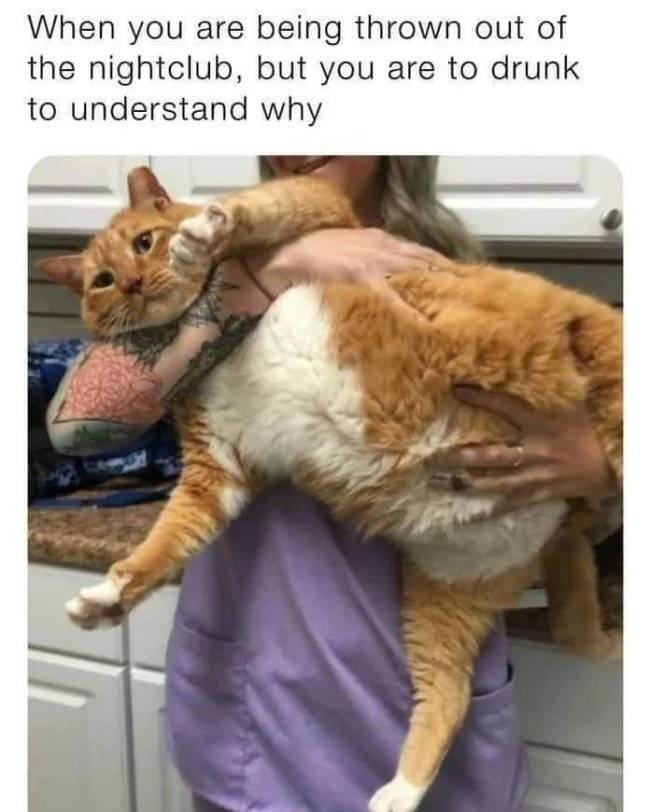 100 wasted 45 pics 1.html - 45 HD Photos | Premium Gallery 2022