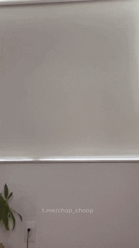 hot girls are here for you 42 gifs 6.html - 1 HD GIF | Premium Gallery 2022