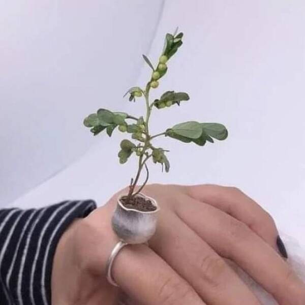 What Are Those Outfits?!