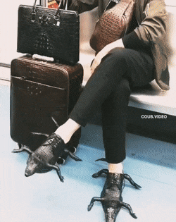 What Are Those Outfits?!